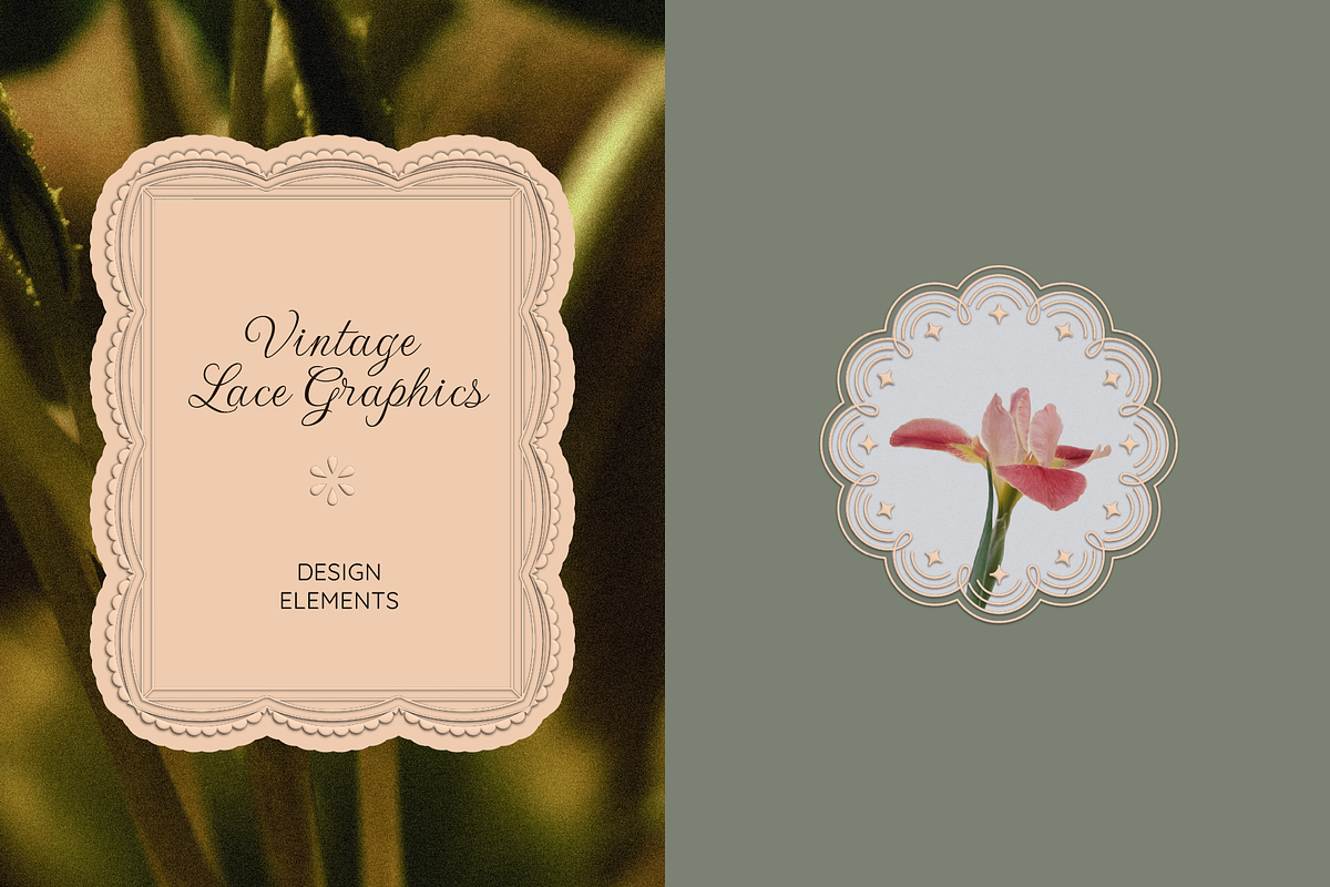 Line Lace Frames - vector designs, an Object Graphic by venimo (Photo 7 of 14)