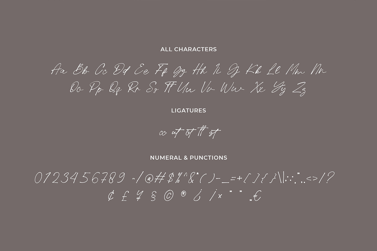 Pellegrie Signature - Script, a Script Font by Krakenbox Studio (Photo 10 of 12)