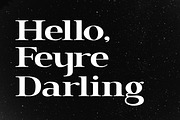 Brixton TC Pro Font collection, a Serif Font by Tom Chalky (Thumbnail 8 of 10)