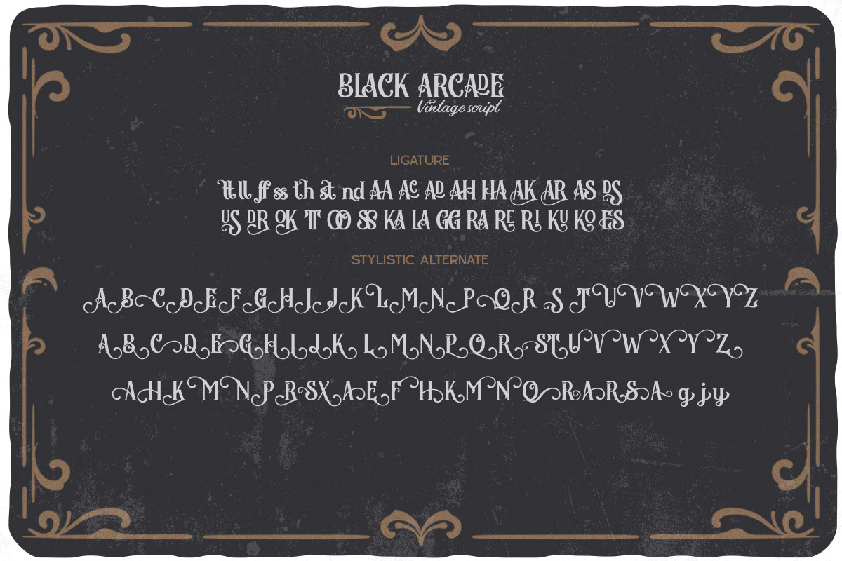 Black Arcade, a Script Font by Vintage Division (Photo 18 of 20)