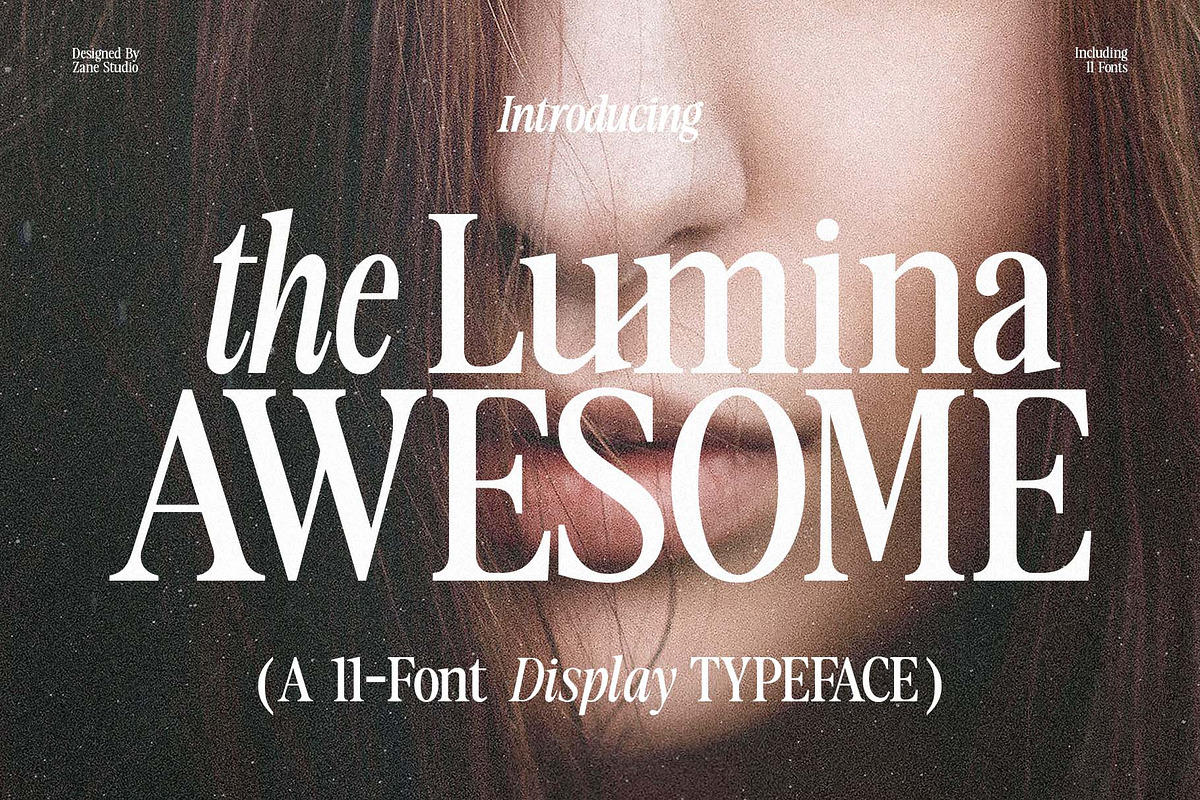The Lumina Awesome, a Serif Font by Zane Studio (Photo 1 of 12)