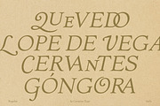 The Ashcombe Hall Oldstyle Serif, a Serif Font by CarmineType (Thumbnail 4 of 24)