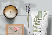 pressed floral watercolor collection, an Illustration by beehouse studio (Thumbnail 9 of 9)