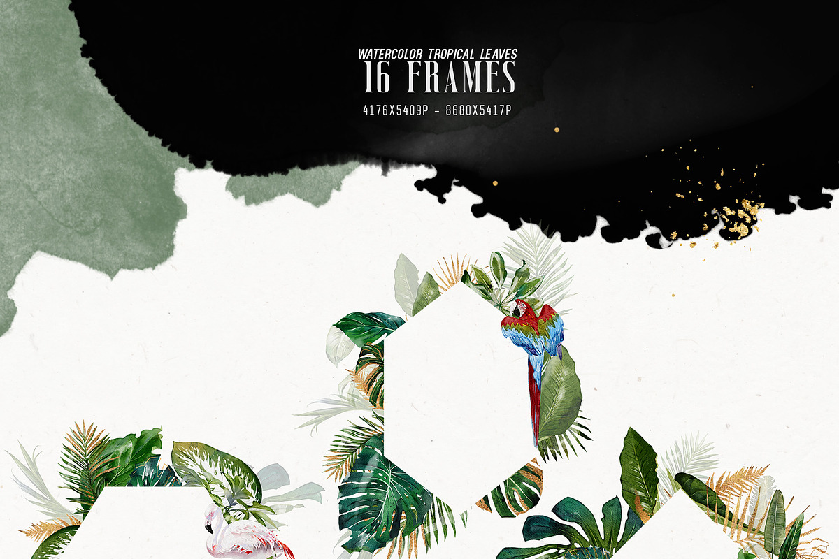Watercolor Tropical Leaves, a Decorative Illustration by Damian Roh (Photo 9 of 19)