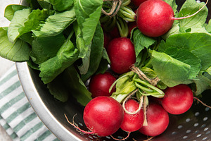 Fresh radishes with green leaves in colander, a Food & Drink Photo by Olena Rudo