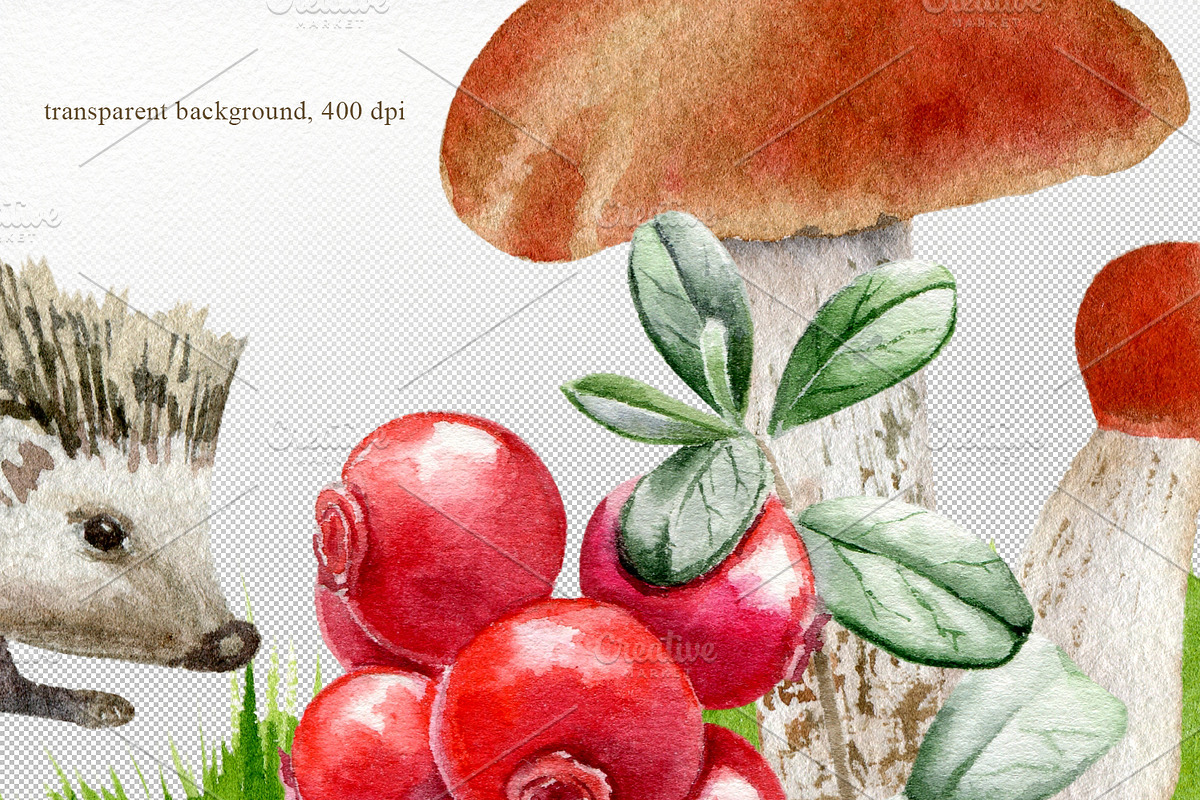 Forest watercolor designer toolkit, an Animal Illustration by Elegantia (Photo 13 of 28)