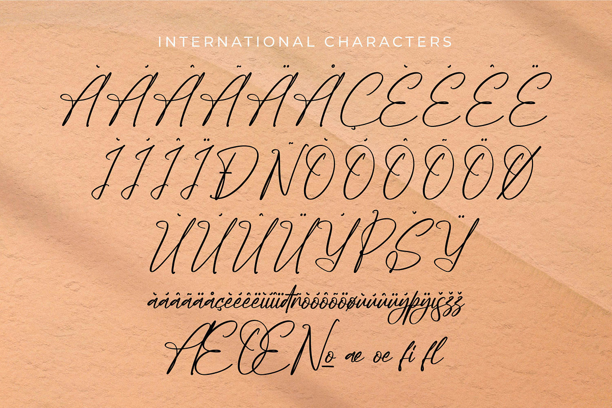 Poleemanik, a Script Font by Integritype Studio (Photo 11 of 15)