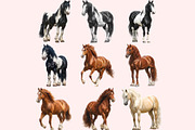 Horse Clipart PNG Bundle, a Graphic by M9 Design (Thumbnail 2 of 11)