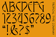 Elysium Display Font, a Serif Font by Tropical Type (Thumbnail 13 of 13)