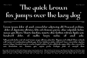 Miguola Serif Humanist, a Serif Font by Khoir (Thumbnail 6 of 12)