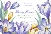 Spring flowers bundle PNG + patterns, an Illustration by Alena Kurian (Thumbnail 2 of 10)
