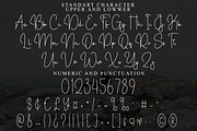 Underline, a Handwritten Font by FreshTypeINK (Thumbnail 7 of 8)