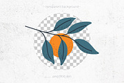 Orange Cliparts, Frames & Patterns, a Decorative Illustration by Panna Limon Store (Thumbnail 5 of 11)