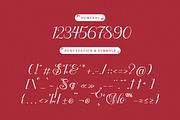 Skinship | Love Script Font, a Script Font by Denustudios (Thumbnail 11 of 13)