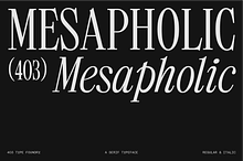403 Mesapholic Modern Serif
