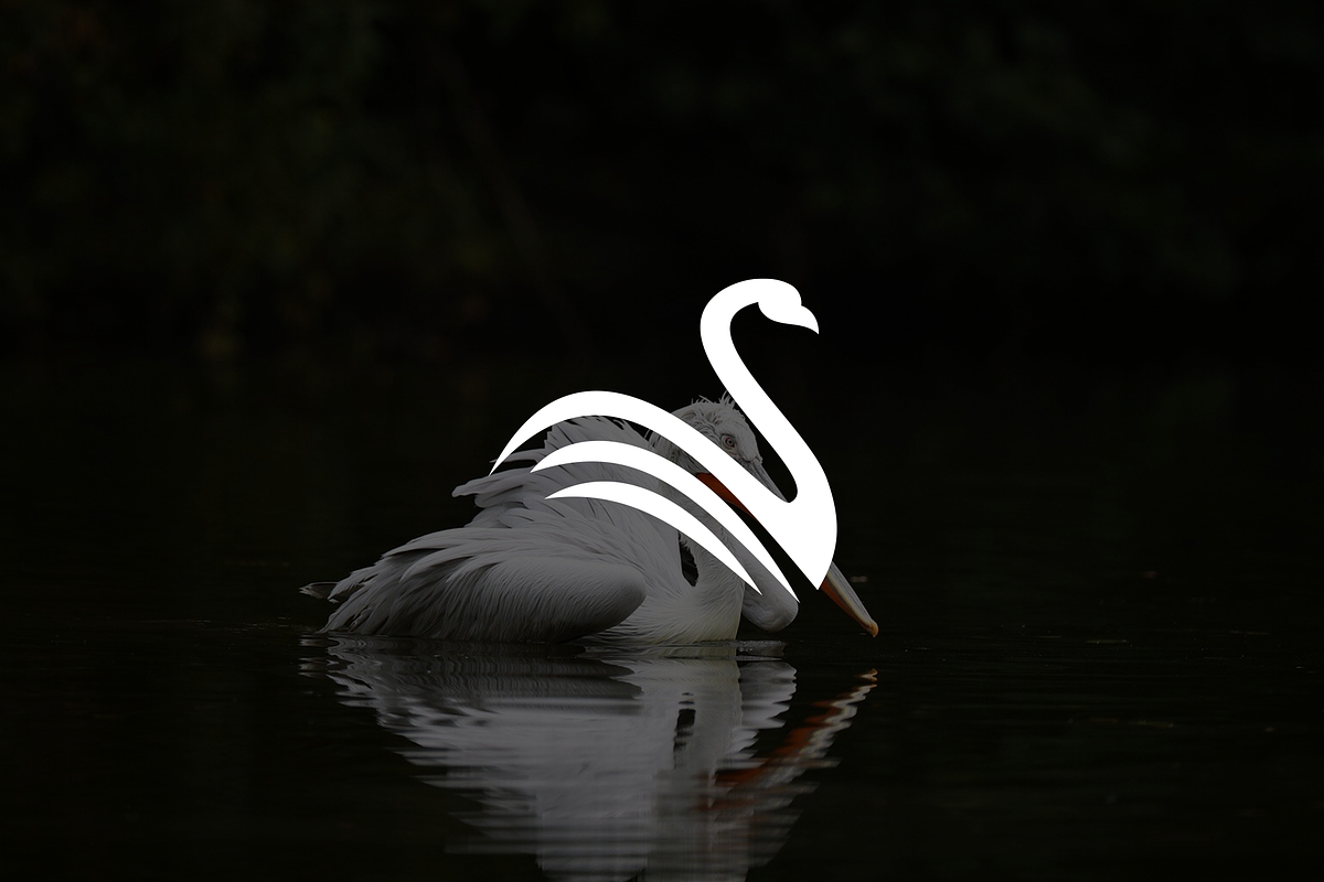 Minimalist Modern Swan Logo, a Branding & Logo Template by Luxury Logos (Photo 2 of 4)