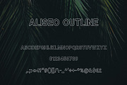Aliseo Font Family - Sans Serif, a Sans Serif Font by RC graphics (Thumbnail 4 of 8)