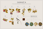 Tropical PNG Element & Pattern, a Pattern Graphic by Artifactory Studios (Thumbnail 4 of 7)