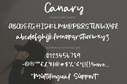 Canary | Handwritten Font, a Script Font by Artstudio (Thumbnail 7 of 8)