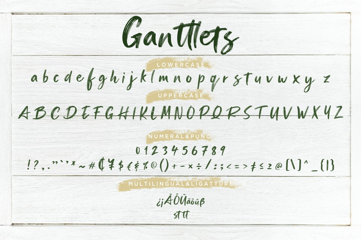 Ganttlets Brush Business Font preview 7