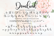 Domiland Script, a Script Font by Nissa Studio (Thumbnail 11 of 12)