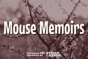 Mouse Memoirs Pro, a Sans Serif Font by Stiggy & Sands