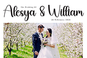 Signature | Script Font, a Handwritten Font by Scratchones (Thumbnail 3 of 9)