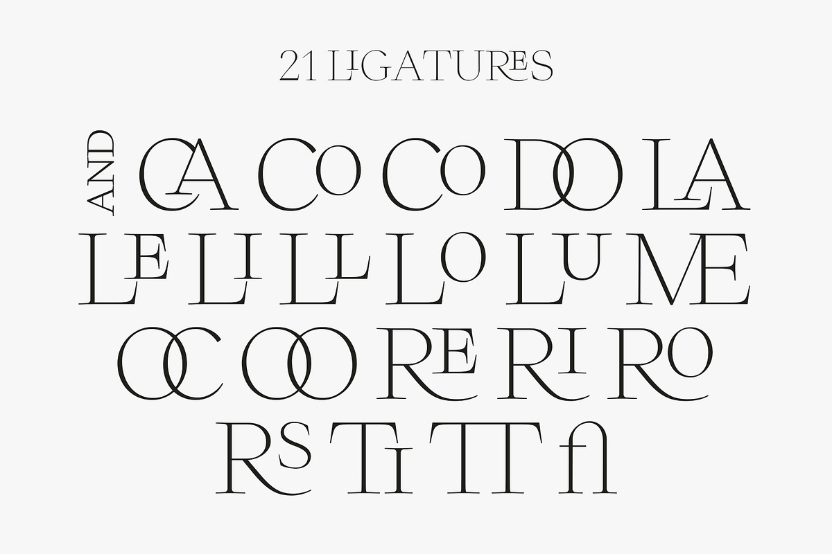 Mezcal | Luxury Ligature Serif, a Serif Font by Jen Wagner Co (Photo 11 of 15)