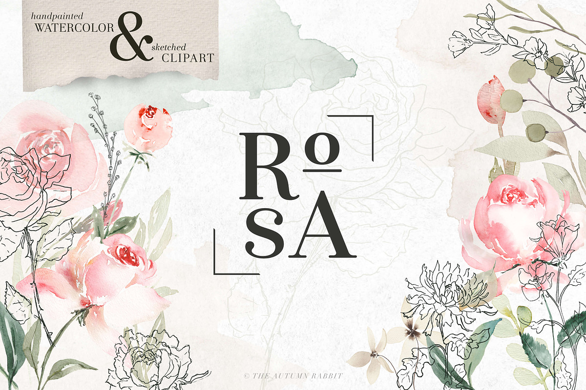 RoSA - Floral Clipart, an Illustration by The Autumn Rabbit Ltd (Photo 1 of 14)