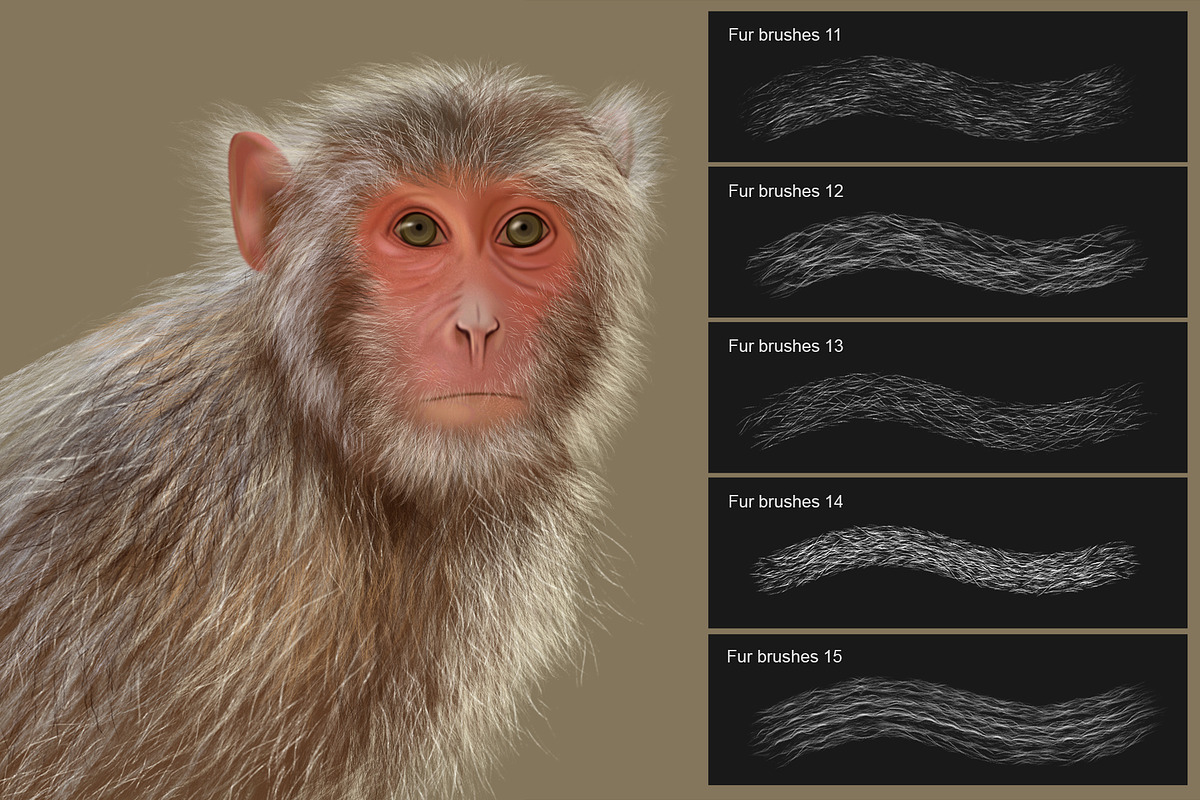 Fur Photoshop Brushes v2, a Brush Add-On by Mohamed Saber (Photo 4 of 6)