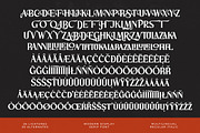 Storm Blokade Modern Display Serif, a Serif Font by timelesstype.co (Thumbnail 18 of 20)