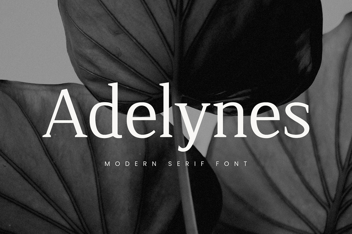 Adelynes - Modern Serif Font, a Serif Font by Almeera Std (Photo 1 of 4)