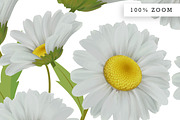 Handmade Vanilla Daisy Pattern, a Pattern Graphic by Design Unique (Thumbnail 2 of 7)