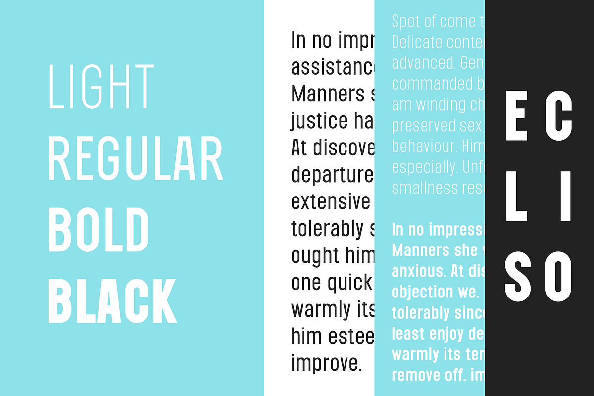 SALE! Ecliso - Sans and Script fonts, a Sans Serif Font by VP Fonts (Photo 7 of 14)