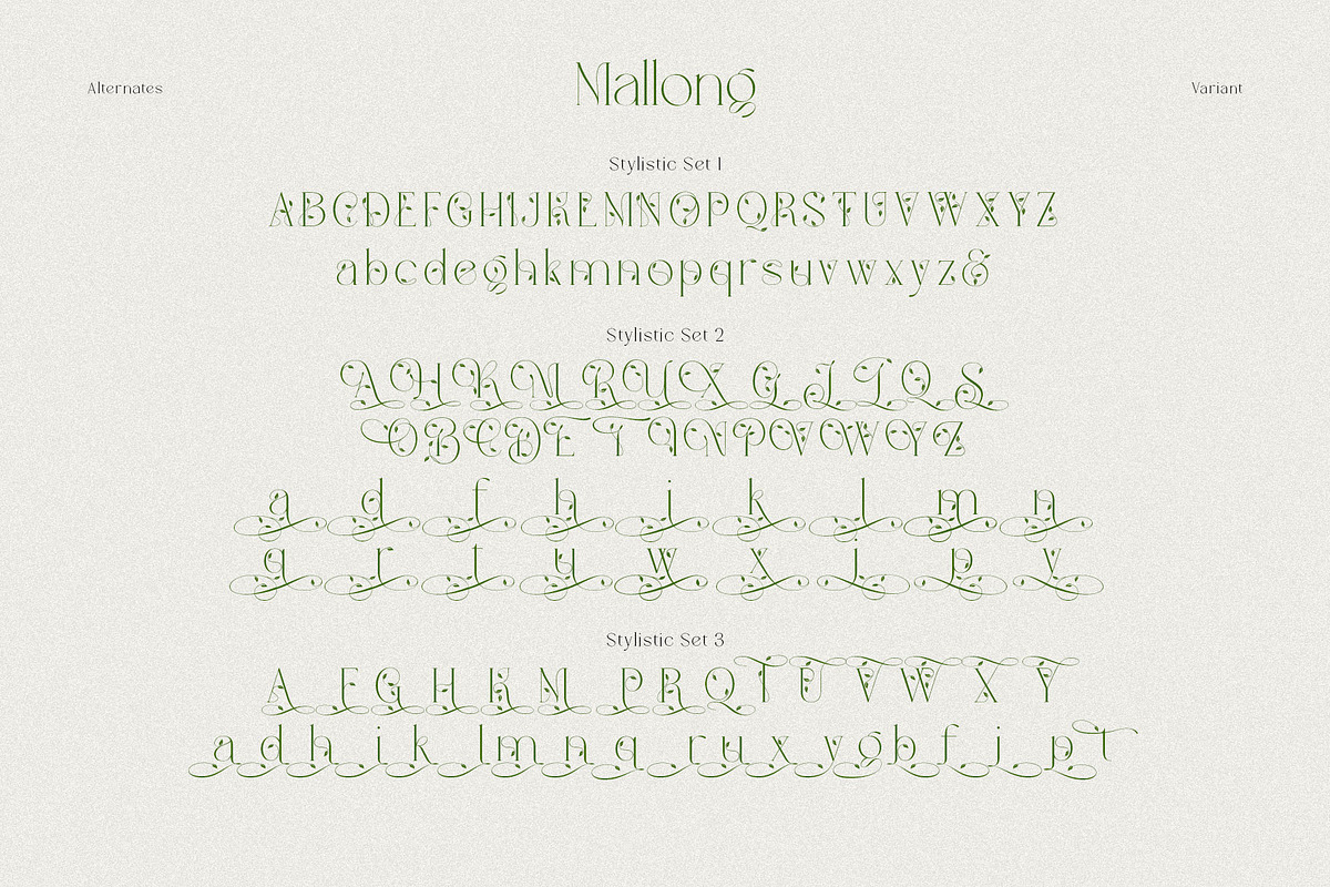 Mallong Typeface, a Serif Font by alit design (Photo 9 of 17)