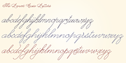 Dreamline, a Script Font by Wiescher-Design (Thumbnail 6 of 9)