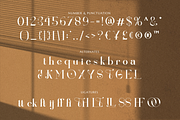 Renaisans Sans Modern Serif, a Serif Font by Creatype Studio (Thumbnail 7 of 10)