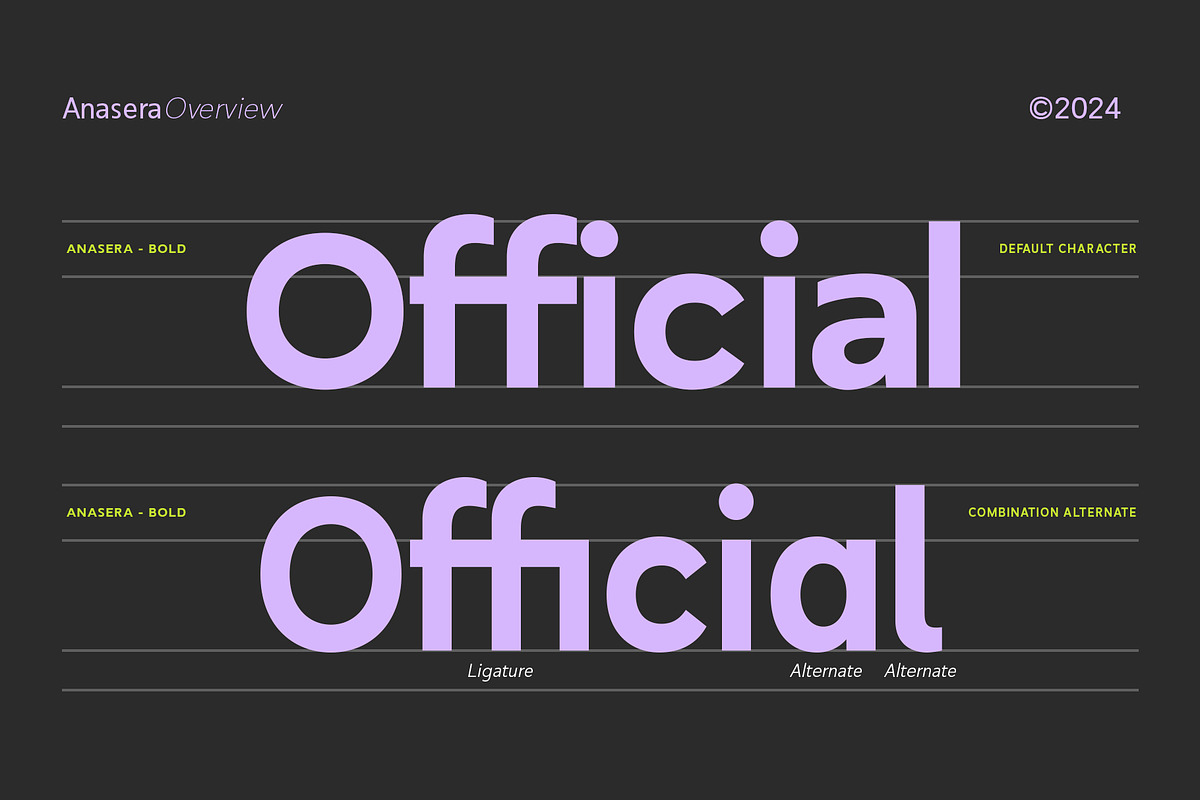 RNDI Anasera, a Sans Serif Font by RNDI Type Foundry (Photo 2 of 10)
