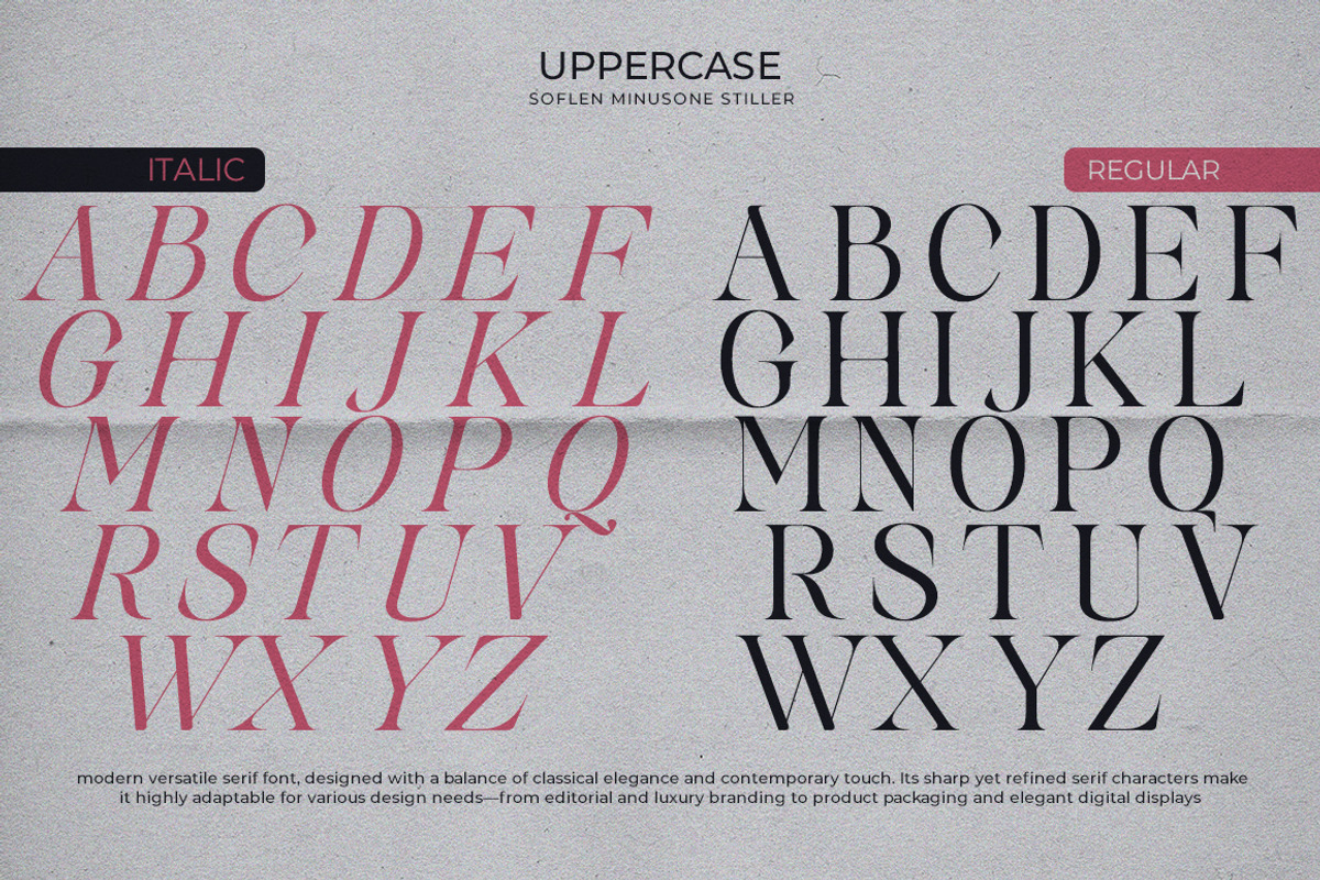 Softlen Minusone Stiller | 6 Update, a Serif Font by Natural Ink Studio (Photo 12 of 15)