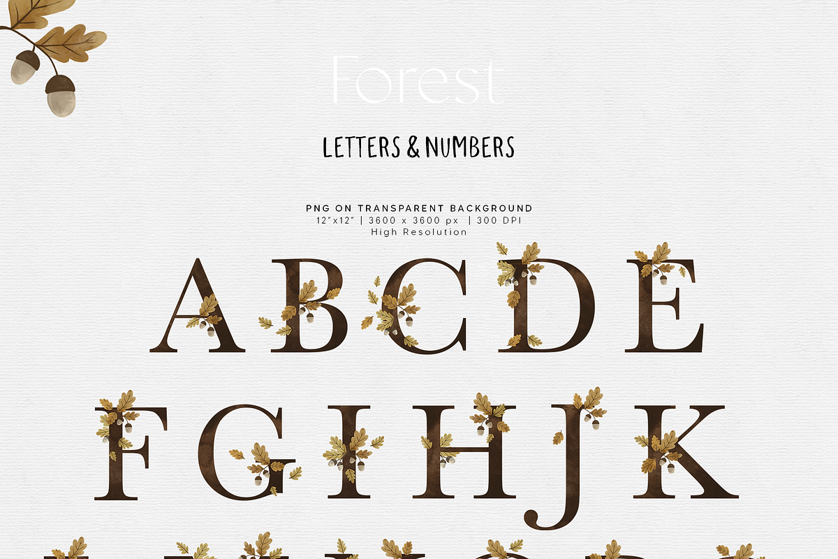 Forest animals. Alphabet & Patterns, an Animal Illustration by annartdreams (Photo 8 of 11)