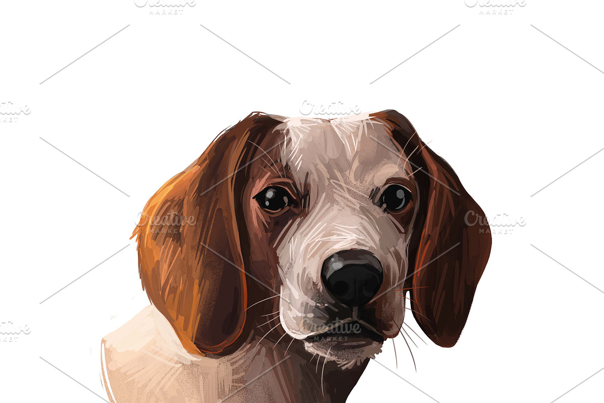 Dogs Cross Breeds 56 Animals Bundle, an Animal Illustration by Dneprstock (Photo 22 of 55)