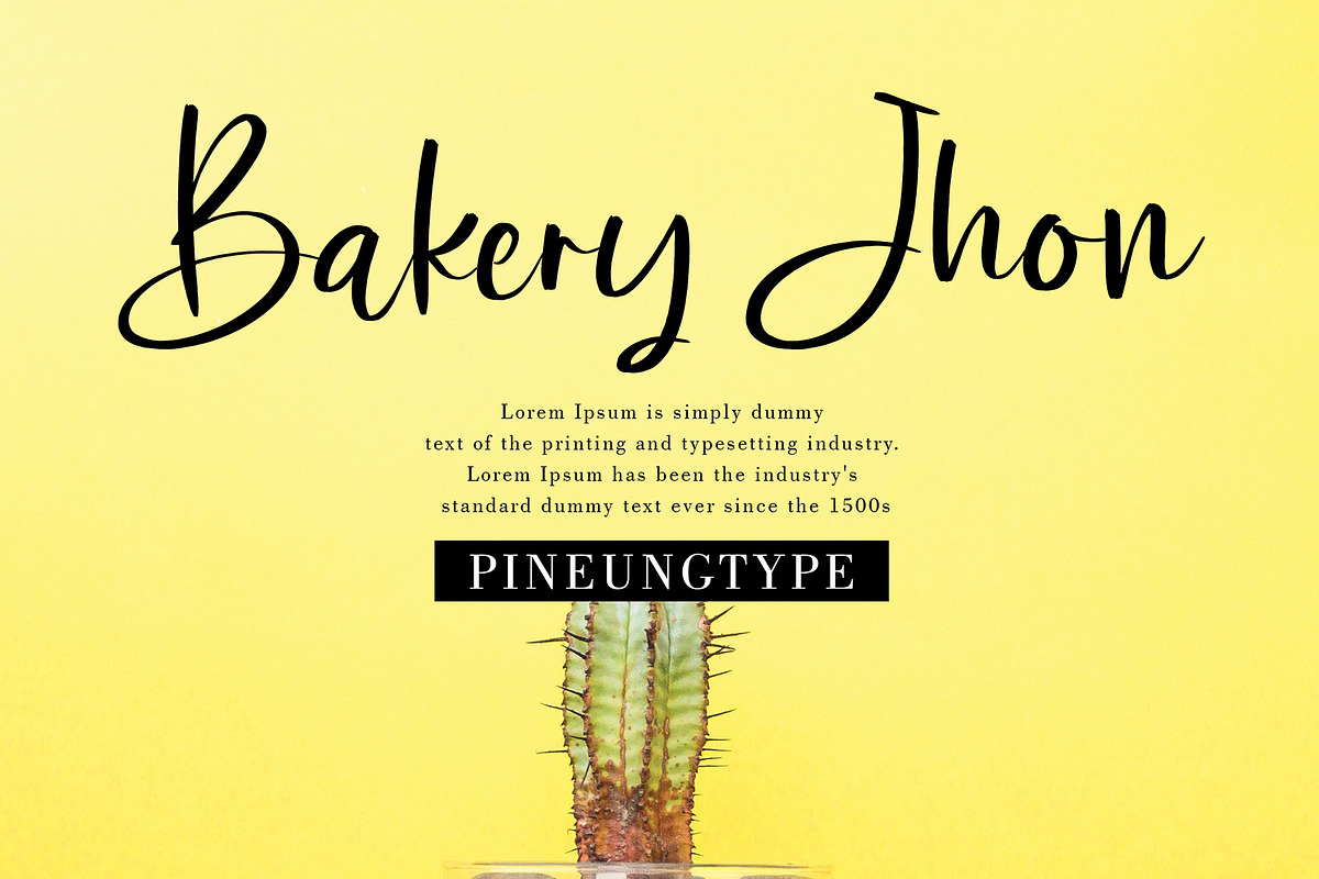 Bermesta, a Script Font by pineungtype (Photo 3 of 8)