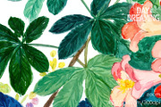 Fresh Botanical Watercolor, a Decorative Illustration by yahu88studio (Thumbnail 2 of 3)