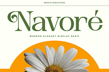 Navore Modern Elegant Display Font