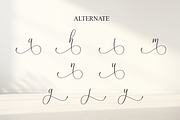 Fallen Angel | Script Font, a Handwritten Font by Scratchones (Thumbnail 8 of 9)