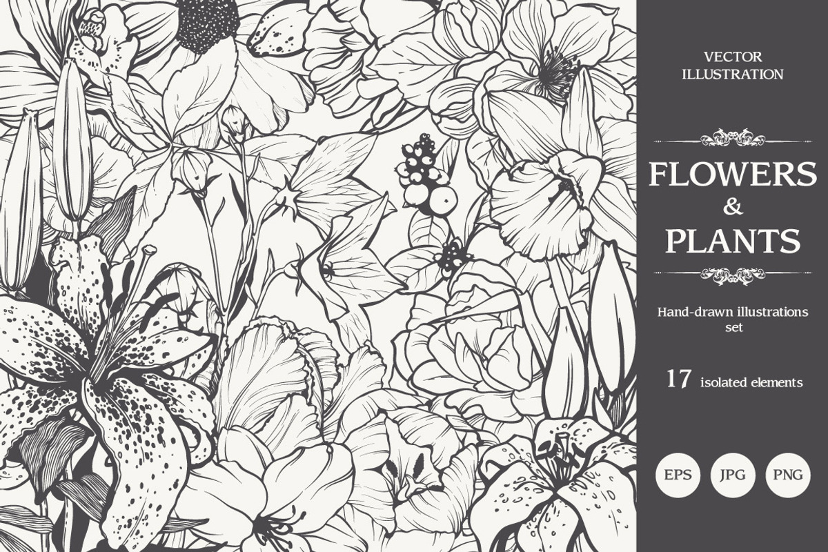 Linear vector flowers set, an Illustration by Color and Decor (Photo 1 of 3)