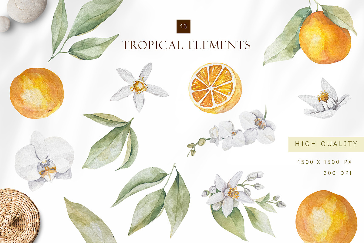 Watercolor citrus orange clipart, an Illustration by MariGraphic boutique (Photo 2 of 10)