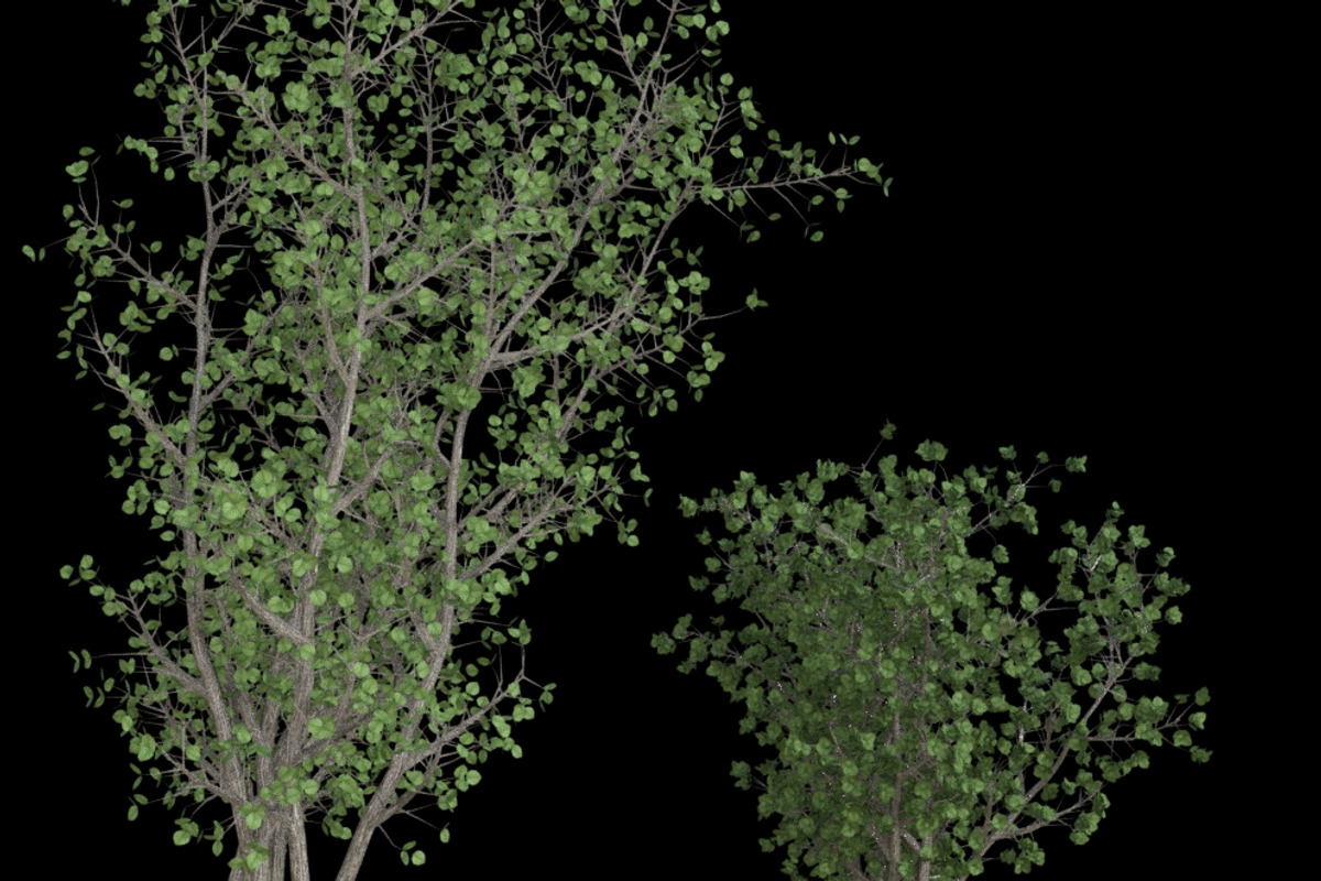 pack Nature, an Object Graphic by FlyOk (Photo 9 of 9)