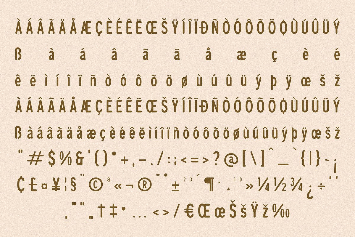 Cleudia Duo Font Sans Serif, a Sans Serif Font by Storytype Studio (Photo 14 of 15)