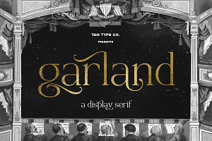 TAN - GARLAND, a Serif Font by TanType